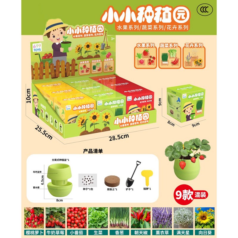 小小种植园（水果/蔬菜/花卉三个系列）18展示盒 3C